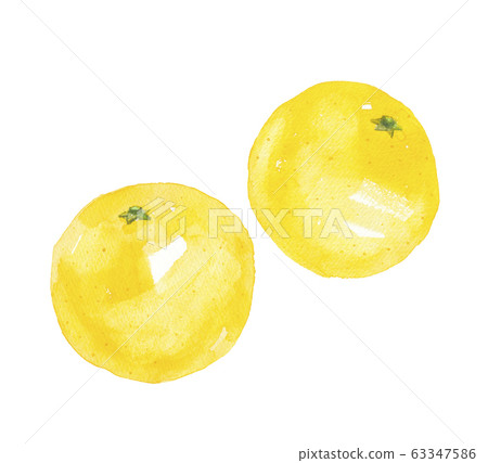 grapefruit  63347586