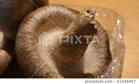Shiitake mushroom 63348467