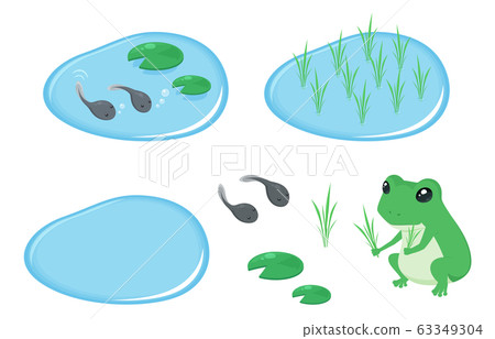 Rice planting and frog illustration material _ set 63349304