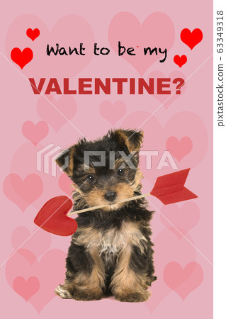 Valentine day greeting card with a cute puppy Valentine day greeting card with a cute puppy 63349318