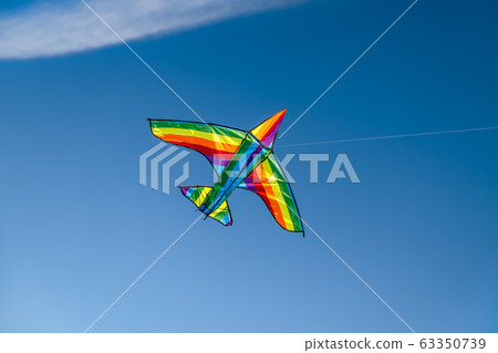 A colorful kite flying in the sky is a symbol of freedom and equality of free sexual people 63350739