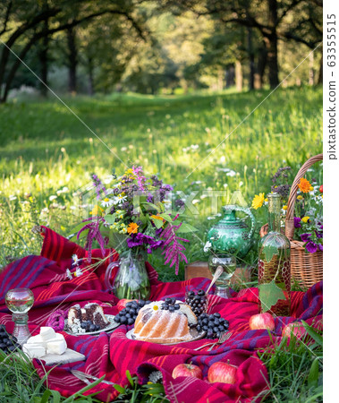 Picnic in a park Picnic in a park 63355515