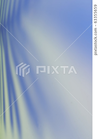 Beautiful fern leaves shadow colored background in artificial light 63355659