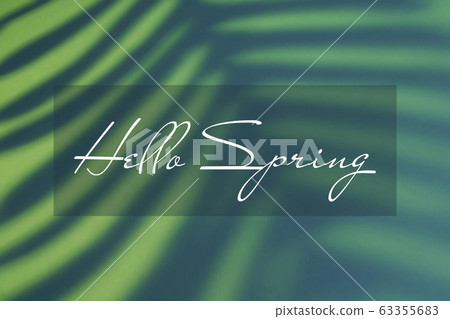 Beautiful fern leaves yellow and green shadow background in artificial light 63355683