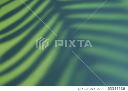 Beautiful fern leaves yellow and green shadow background in artificial light 63355686