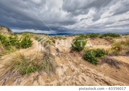 Dune vegetation Voidokilia beach storm 63356017