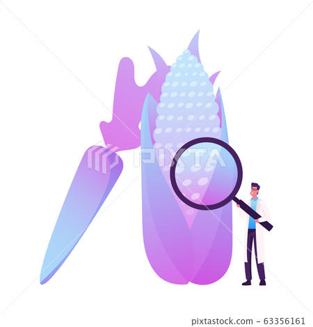Agricultural Genetics Technology Concept. Tiny Male Scientist Character with Magnifying Glass Look on Huge Genetically Modified Corn and Carrot. Biology Genome Engineering. Cartoon Vector Illustration Agricultural Genetics Technology Concept. Tiny Male Scientist Character with Magnifying Glass Look on Huge Genetically Modified Corn and Carrot. Biology Genome Engineering. Cartoon Vector Illustration 63356161