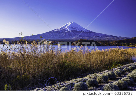 (山梨縣)深秋的河口湖@富士山 (山梨縣)深秋的河口湖@富士山 63356722