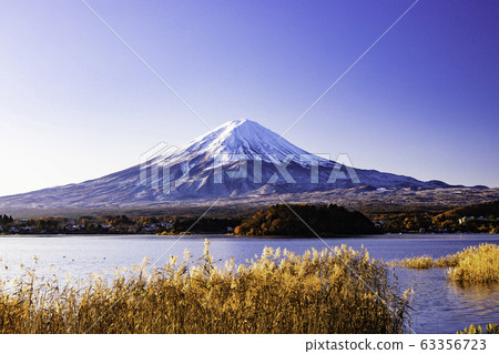(Yamanashi Prefecture) Lake Kawaguchiko in late autumn @ Mt. Fuji 63356723