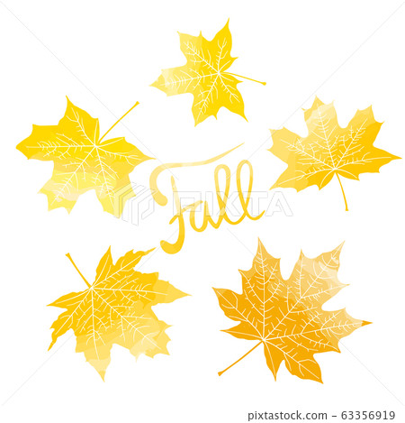 Fall lettering and yellow maple leaves Fall lettering and yellow maple leaves 63356919