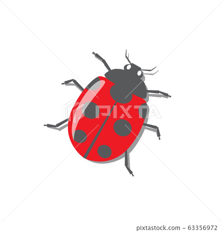 Red ladybug with shadow 63356972