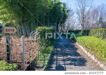 上尾丸山公園木板路 上尾丸山公園木板路 63357777