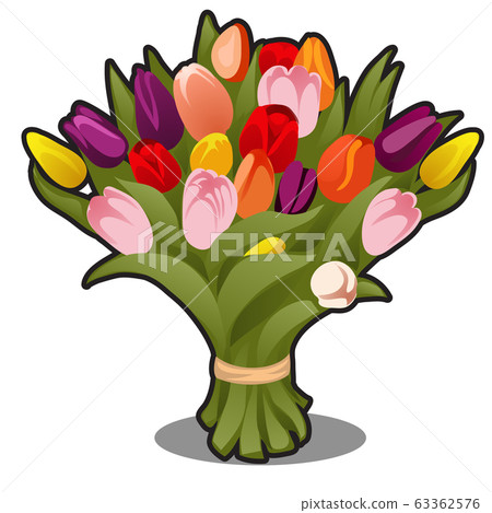 Bouquet of multicolored tulips isolated on white background. Vector cartoon close-up illustration. Bouquet of multicolored tulips isolated on white background. Vector cartoon close-up illustration. 63362576