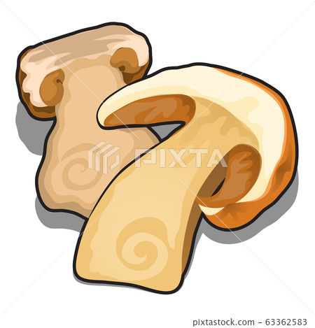 Sliced dried mushrooms isolated on white background. Ingredients for cooking delicious food. Vector cartoon close-up illustration. Sliced dried mushrooms isolated on white background. Ingredients for cooking delicious food. Vector cartoon close-up illustration. 63362583