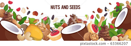 set different nuts and seeds composition healthy vegetarian food concept horizontal set different nuts and seeds composition healthy vegetarian food concept horizontal 63366207