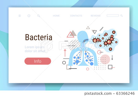 infected human lungs with virus cells bacteria pathogen respiratory diseases medical health risk concept horizontal portrait copy space 63366246