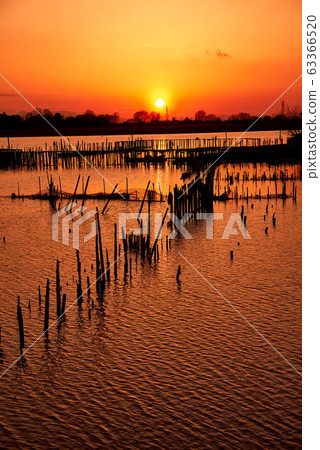 Sunset in Tatara Numa [Tatebayashi City, Gunma Prefecture] 63366520
