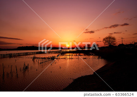 Sunset in Tatara Numa [Tatebayashi City, Gunma Prefecture] 63366524