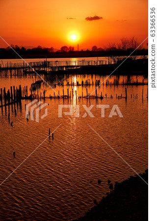 Sunset in Tatara Numa [Tatebayashi City, Gunma Prefecture] 63366536