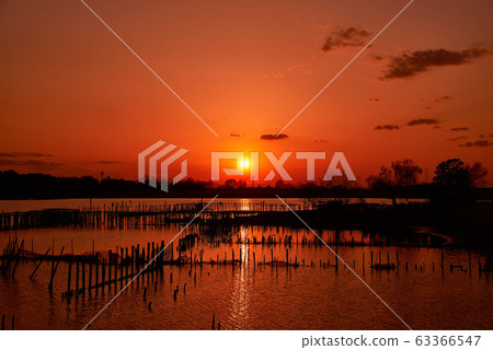 Sunset in Tatara Numa [Tatebayashi City, Gunma Prefecture] 63366547