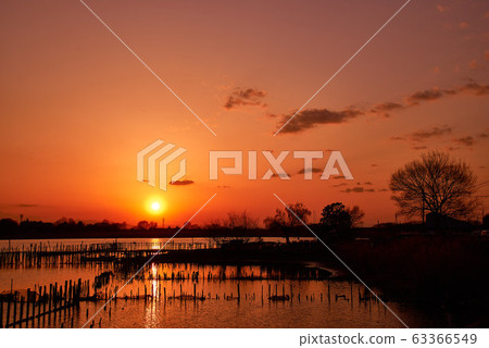 Sunset in Tatara Numa [Tatebayashi City, Gunma Prefecture] 63366549
