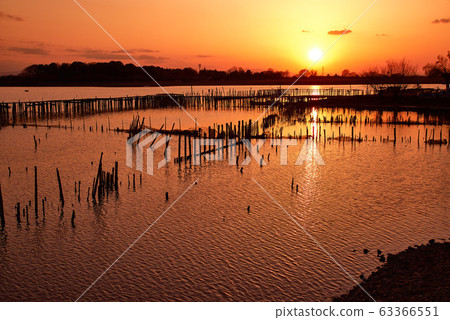 Sunset in Tatara Numa [Tatebayashi City, Gunma Prefecture] 63366551