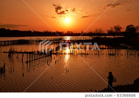 Sunset in Tatara Numa [Tatebayashi City, Gunma Prefecture] 63366606
