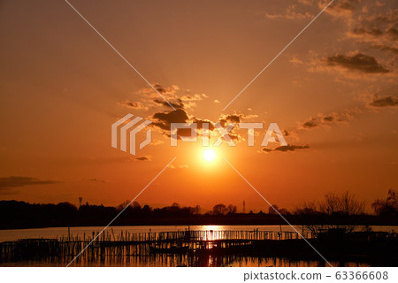 Sunset in Tatara Numa [Tatebayashi City, Gunma Prefecture] 63366608