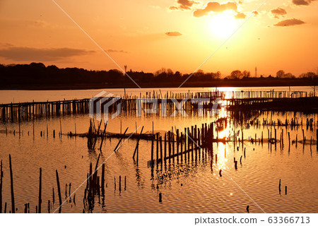 Sunset in Tatara Numa [Tatebayashi City, Gunma Prefecture] 63366713