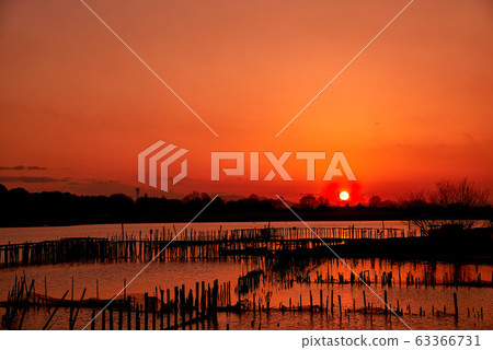 Sunset in Tatara Numa [Tatebayashi City, Gunma Prefecture] 63366731