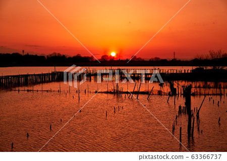 Sunset in Tatara Numa [Tatebayashi City, Gunma Prefecture] 63366737