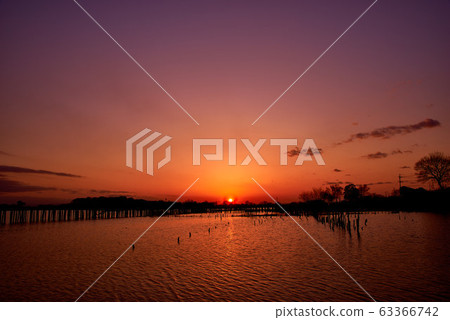 Sunset in Tatara Numa [Tatebayashi City, Gunma Prefecture] 63366742