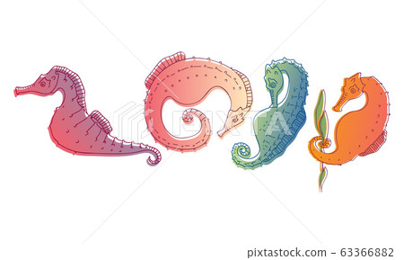 Stylized Sea Horses with Bony Armour and Prehensile Tail Vector Set 63366882