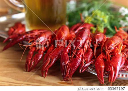 Boiled crawfish with dill and mug of beer . 63367197