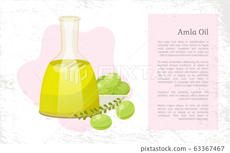 Information About Amla Oil in Vessel, Gooseberries 63367467