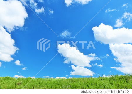 夏日宜人的藍天和草地 63367500