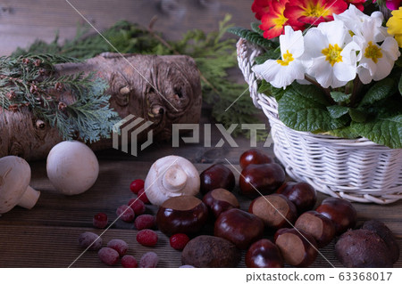 mushrooms on the boards with flowers and chestnuts 63368017