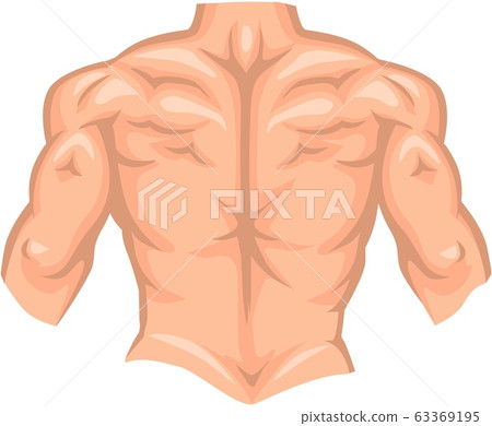 Naked back of bodybuilder male with muscle isolated on white background 63369195