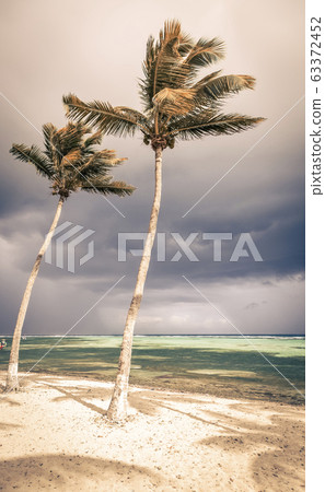 tropical beach with palm trees and stormy sky tropical beach with palm trees and stormy sky 63372452