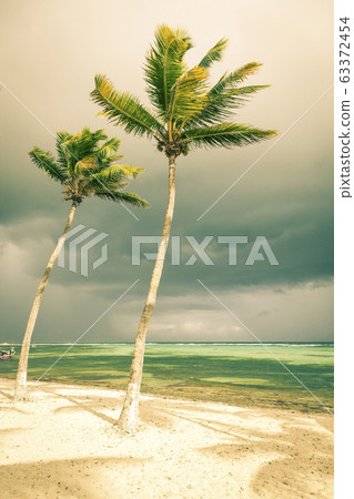 tropical  beach with palm trees and stormy sky 63372454