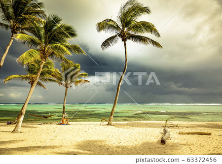 tropical beach with palm trees and stormy sky tropical beach with palm trees and stormy sky 63372456