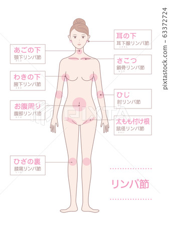 主淋巴結圖 63372724