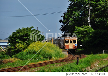 Hitachinaka Kaihin鐵路,常規火車停在Nakane站(Kiha 200) Hitachinaka Kaihin鐵路,常規火車停在Nakane站(Kiha 200) 63373401