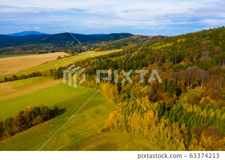Autumn hilly landscape with colored trees Autumn hilly landscape with colored trees 63374213