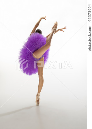 Young graceful tender ballerina on white studio background Young graceful tender ballerina on white studio background 63375994