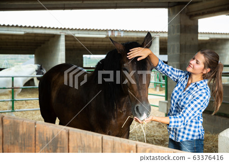 Woman feeding horse Woman feeding horse 63376416