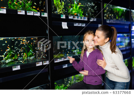 Woman with daughter in search of aquarium fish in pet shop Woman with daughter in search of aquarium fish in pet shop 63377668
