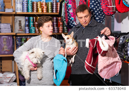 Nice father and son choose clothes for dogs 63378048