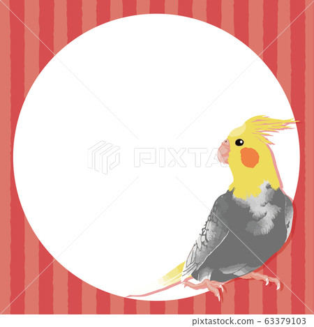 Cockatiels and round frame 3 63379103