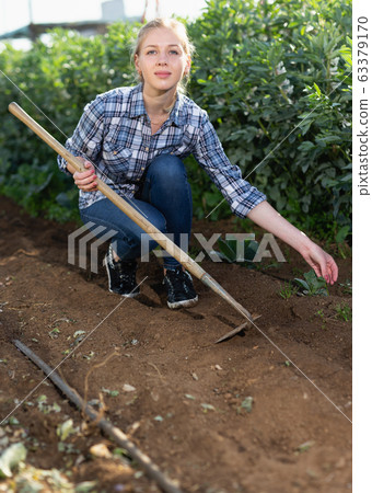 Woman hoeing in garden Woman hoeing in garden 63379170